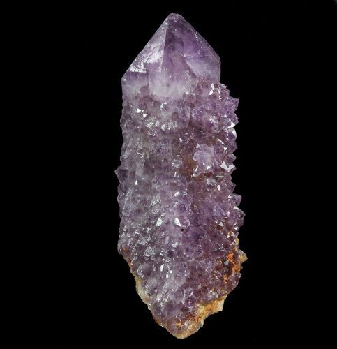 Cactus Quartz (Amethyst) Crystal - South Africa #64235